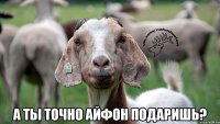  А ты точно айфон подаришь?