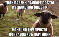 твой парень лайкает посты из"наивной овцы"? конечно,ему просто понравились картинки