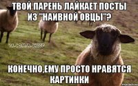 твой парень лайкает посты из "наивной овцы"? КОНЕЧНО,ЕМУ ПРОСТО НРАВЯТСЯ КАРТИНКИ