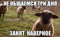 Не общаемся три дня Занят, наверное