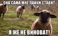 Она сама мне лайки ставит я же не виноват!