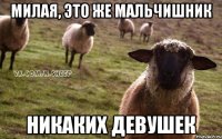 милая, это же мальчишник никаких девушек