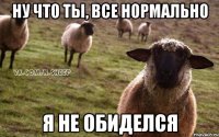 ну что ты, все нормально я не обиделся