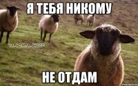 Я тебя никому Не отдам