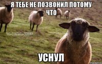 я тебе не позвонил потому что уснул