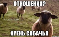 Отношения? Хрень собачья