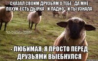 сказал своим друзьям о тебе "да мне похуй, есть дырка - и ладно", и ты узнала - любимая, я просто перед друзьями выебнулся