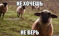 не хочешь не верь