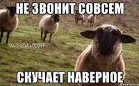 НЕ ЗВОНИТ СОВСЕМ СКУЧАЕТ НАВЕРНОЕ