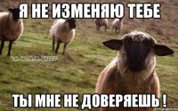 Я не изменяю тебе Ты мне не доверяешь !