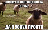 Почему не попрощался на ночь? Да я уснул просто