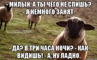 - Милый, а ты чего не спишь? - Я немного занят. - Да? В три часа ночи? - Как видишь! - А, ну ладно.