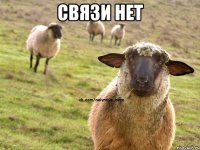 Связи нет 