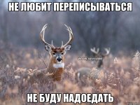 Не любит переписываться Не буду надоедать