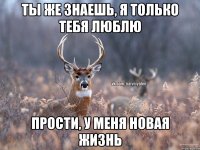 Ты же знаешь, я только тебя люблю Прости, у меня новая жизнь