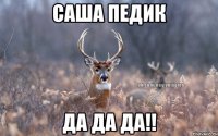 САША ПЕДИК ДА ДА ДА!!