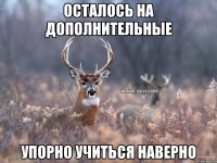 Осталось На Дополнительные Упорно учиться Наверно