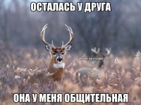 Осталась у друга Она у меня общительная