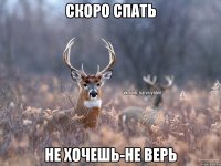 скоро спать не хочешь-не верь