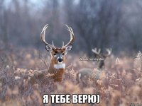  Я тебе верю)