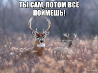 Ты сам, потом всё поймешь! 