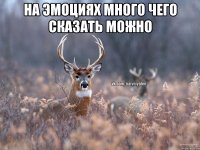 на эмоциях много чего сказать можно 