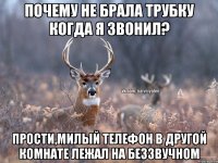 почему не брала трубку когда я звонил? Прости,милый телефон в другой комнате лежал на беззвучном