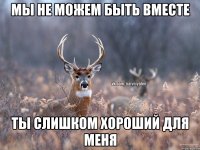 Мы не можем быть вместе Ты слишком хороший для меня