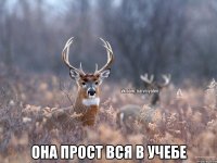  Она прост вся в учебе