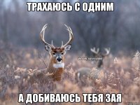 Трахаюсь с одним А добиваюсь тебя зая