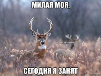 МИЛАЯ МОЯ, СЕГОДНЯ Я ЗАНЯТ