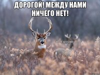 дорогой! между нами ничего нет! 