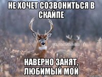 Не хочет созвониться в скайпе наверно занят, любимый мой