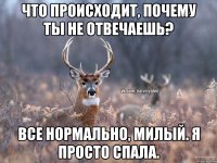 Что происходит, почему ты не отвечаешь? Все нормально, милый. Я просто спала.