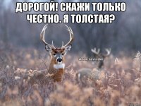 Дорогой! Скажи только честно. Я толстая? 