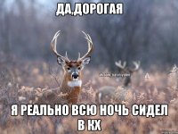 Да,дорогая Я реально всю ночь сидел в кх