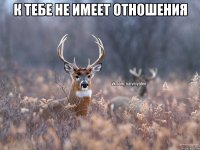 к тебе не имеет отношения 