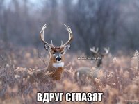  Вдруг сглазят