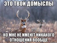 это твои домыслы ко мне не имеют никакого отношения вообще