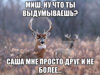 Миш, ну что ты выдумываешь? Саша мне просто друг и не более...