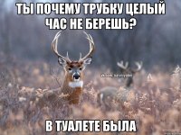 ты почему трубку целый час не берешь? в туалете была