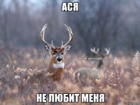 Ася НЕ любит меня