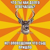 что ты как долго отвечаешь? Нет оповещений что сбщ пришло