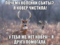 -Почему коленки сбиты? - Я ковёр чистила! - У тебя же, нет ковра! - Я другу помогала.