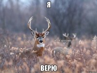 Я Верю