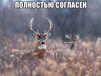 Полностью согласен 