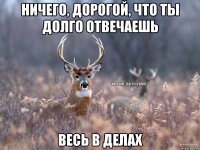 НИЧЕГО, ДОРОГОЙ, ЧТО ТЫ ДОЛГО ОТВЕЧАЕШЬ ВЕСЬ В ДЕЛАХ