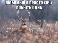 Любимый я просто хочу побыть одна 