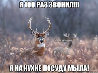 Я 100 раз звонил!!! Я на кухне посуду мыла!