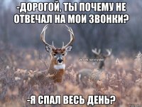 -ДОРОГОЙ, ТЫ ПОЧЕМУ НЕ ОТВЕЧАЛ НА МОИ ЗВОНКИ? -Я СПАЛ ВЕСЬ ДЕНЬ?